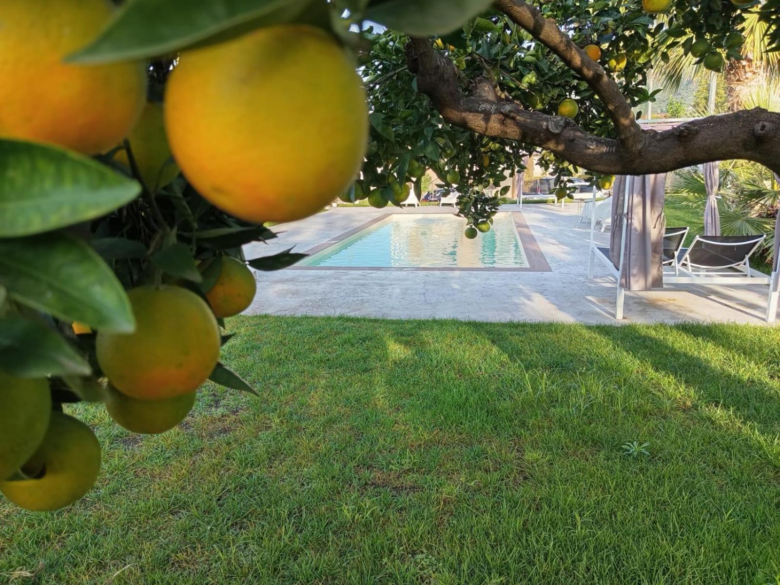 B&B Villa Limao Sarno Esterno foto